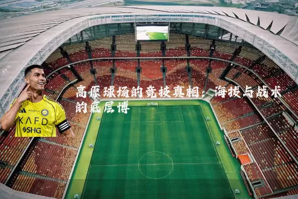 高原球场的竞技真相:海拔与战术的底层博弈