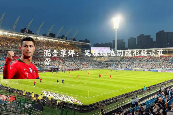 混合草坪:足球场地的隐形技术革命